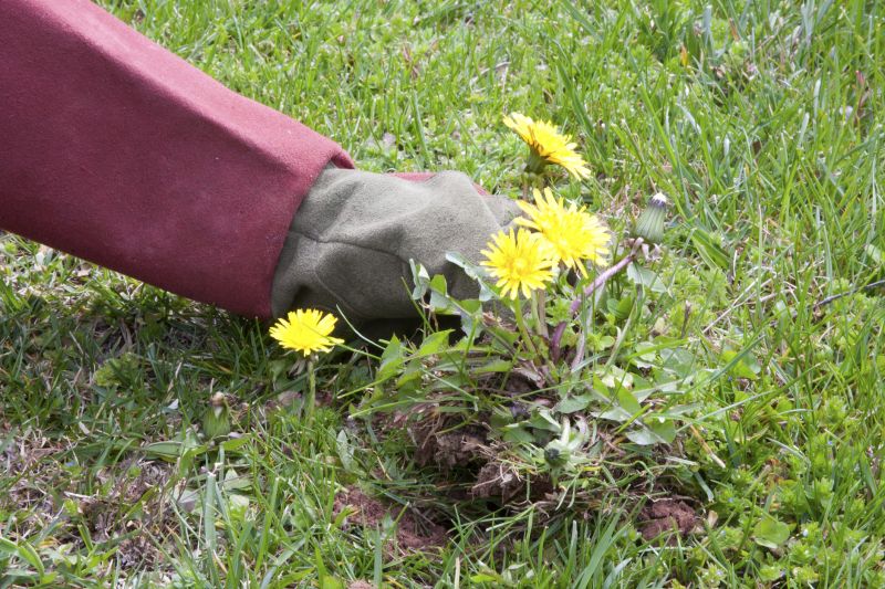 Prevents Weed Spread